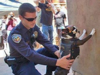 Police Search
